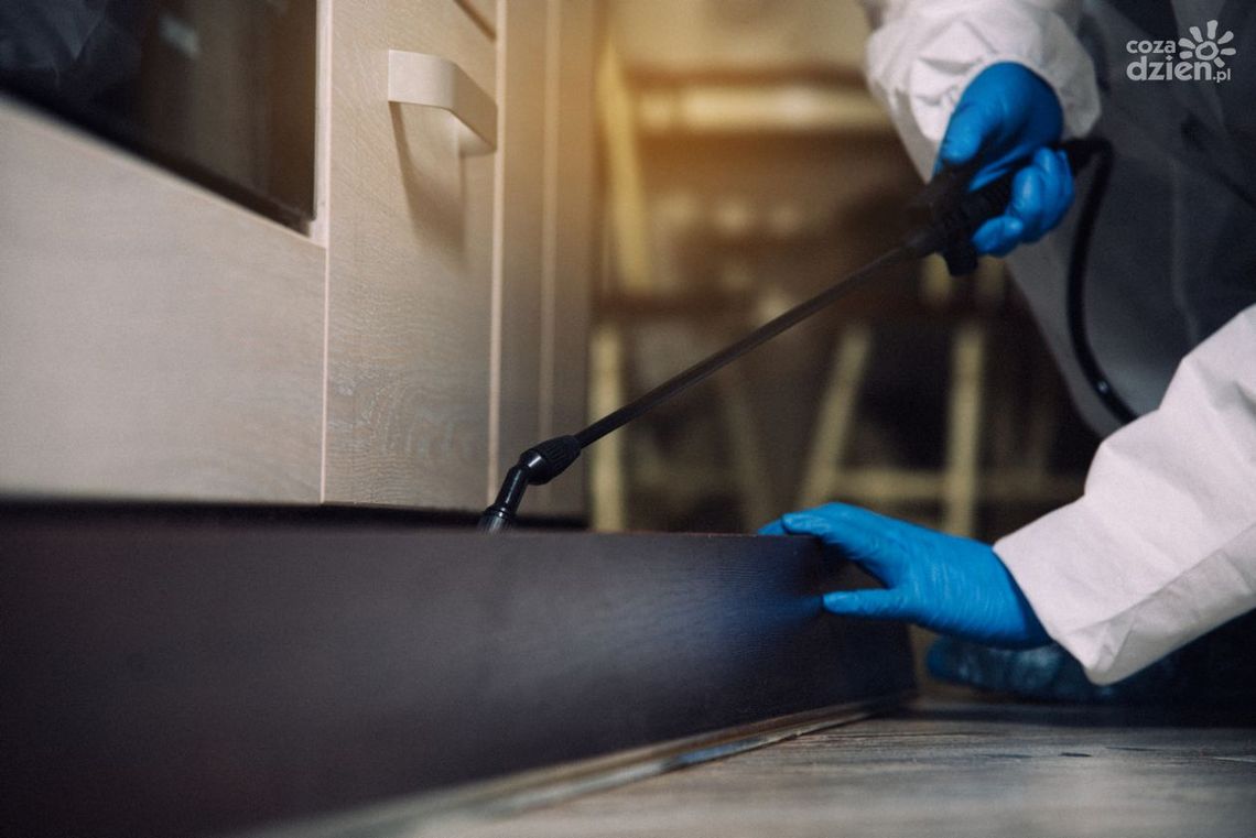 Usługi DDD – co kryje się za tym skrótem i kiedy warto z nich skorzystać?