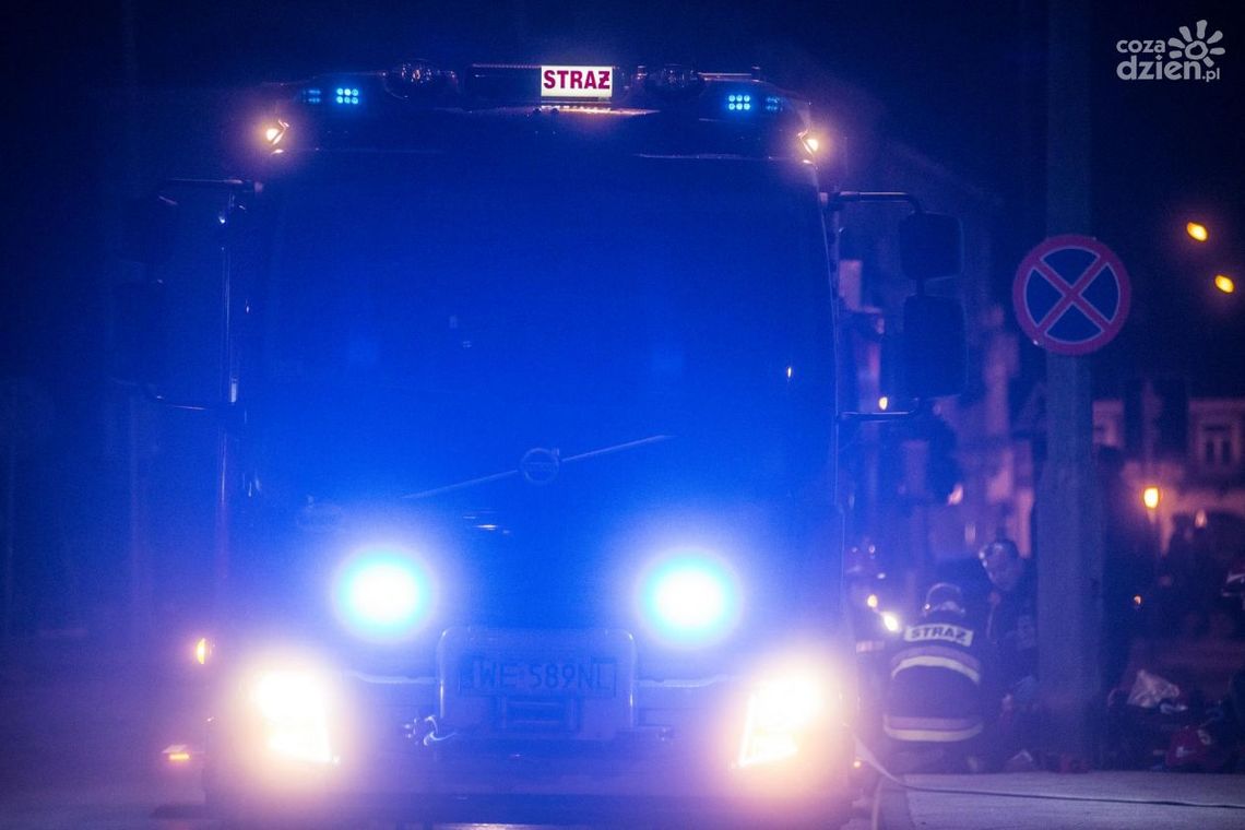 UWAGA! Łosie na drodze. Kolizja dwóch samochodów