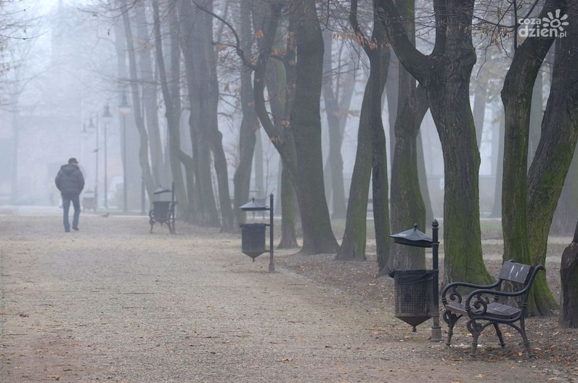Uwaga na gęstą mgłę! IMGW ostrzega 