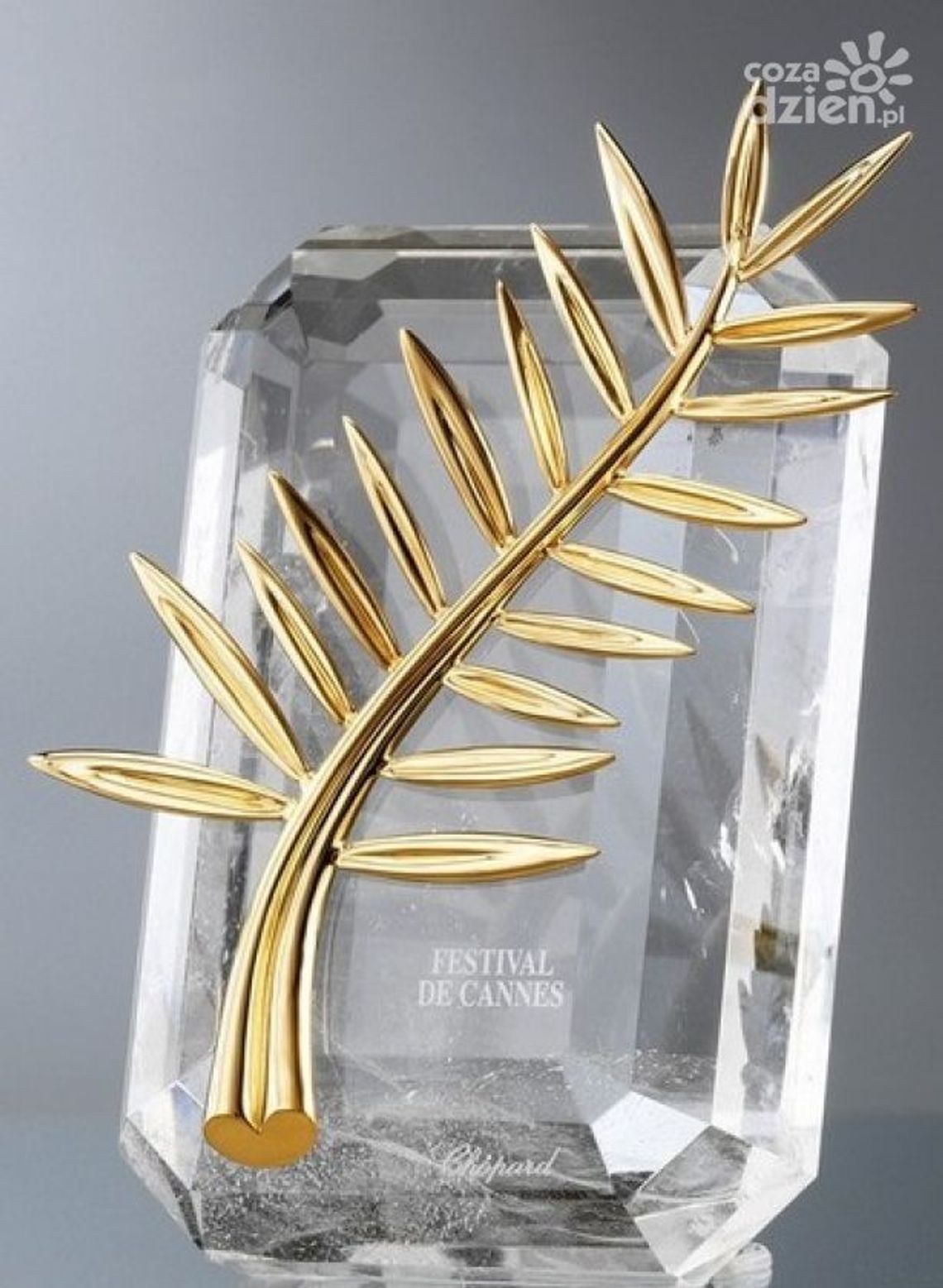 W Cannes docenili "Miłość"