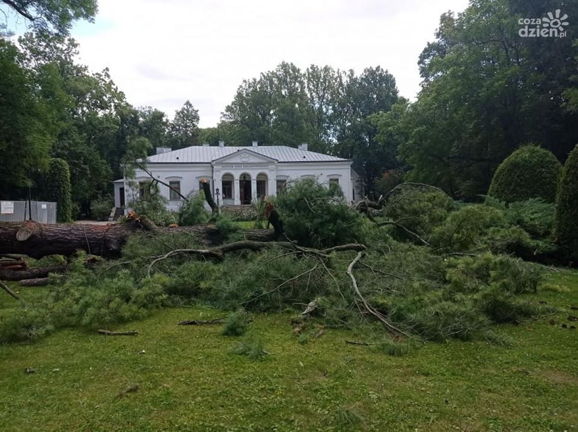 W Czarnolesie runęła dwustuletnia wejmutka