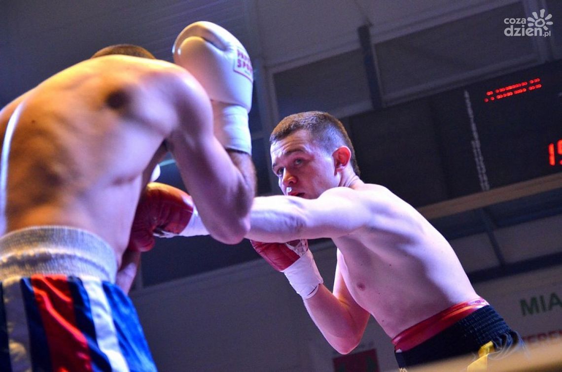 W grudniu w Radomiu gala Windoor Boxing Night