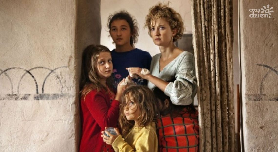 W Kinie Konesera "Cuda" - WYNIKI W Kinie Konesera "Cuda" - WYNIKI