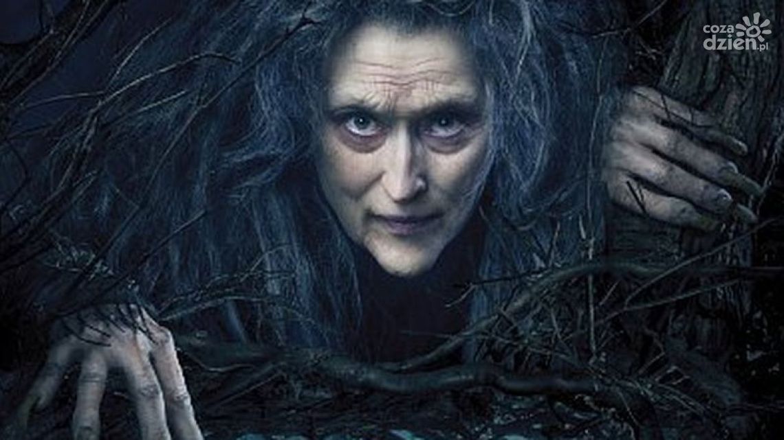 W Kinie Konesera "Tajemnice lasu"