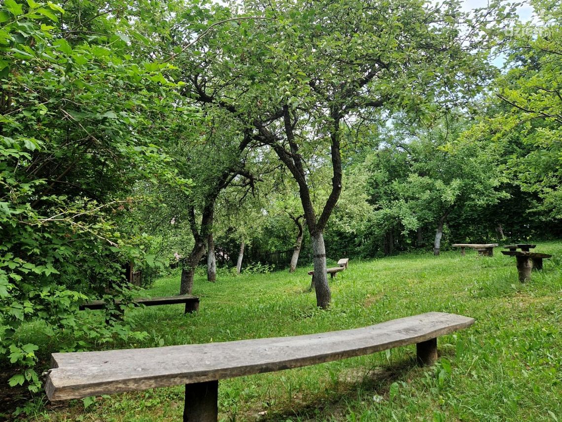 „W malinowym...” rusza cykl artystycznych wydarzeń 