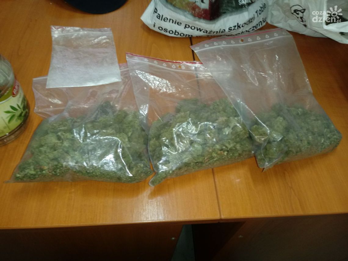 W mieszkaniu miał kilkaset gramów marihuany W mieszkaniu miał kilkaset gramów marihuany