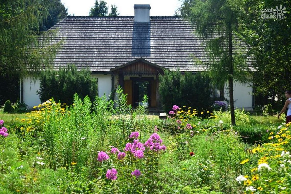 W Muzeum Wsi Radomskiej żniwa i zabawa na dechach