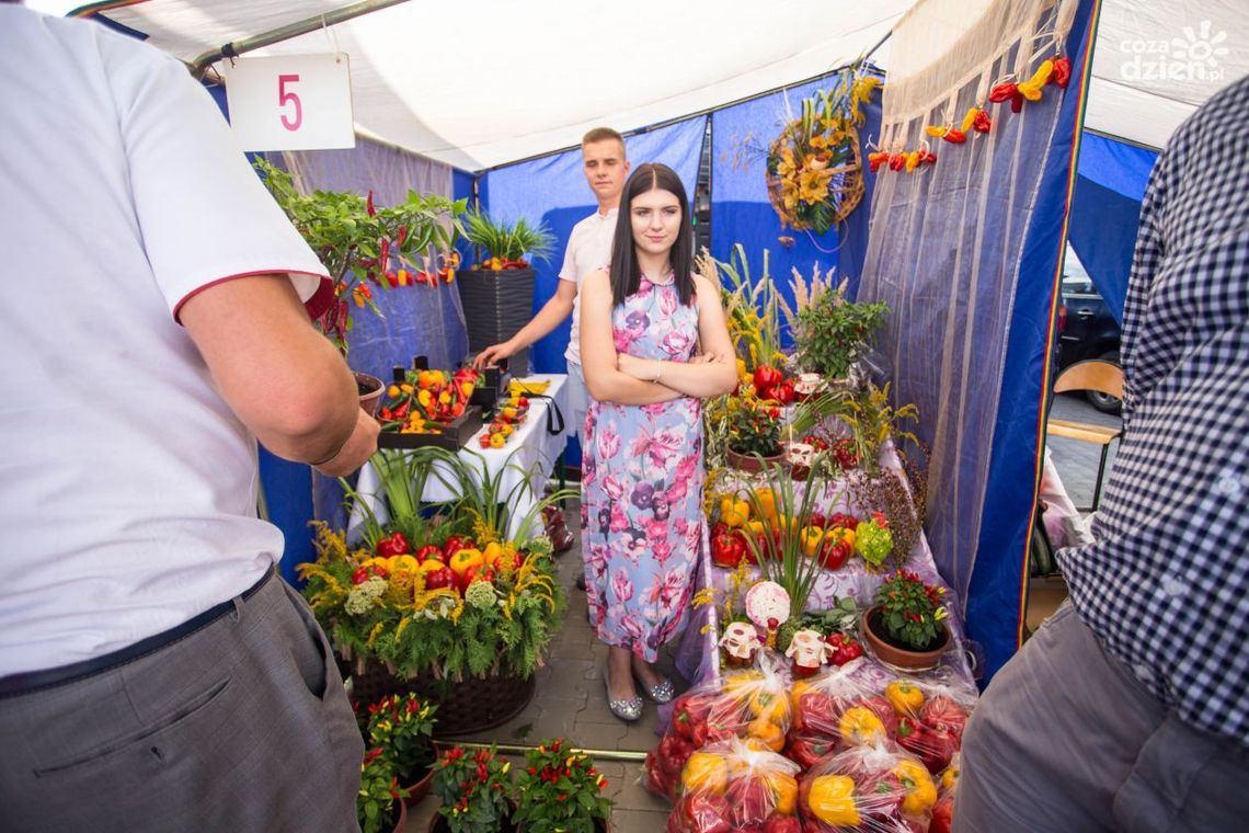 W niedzielę Ogólnopolskie Targi Papryki w Przytyku