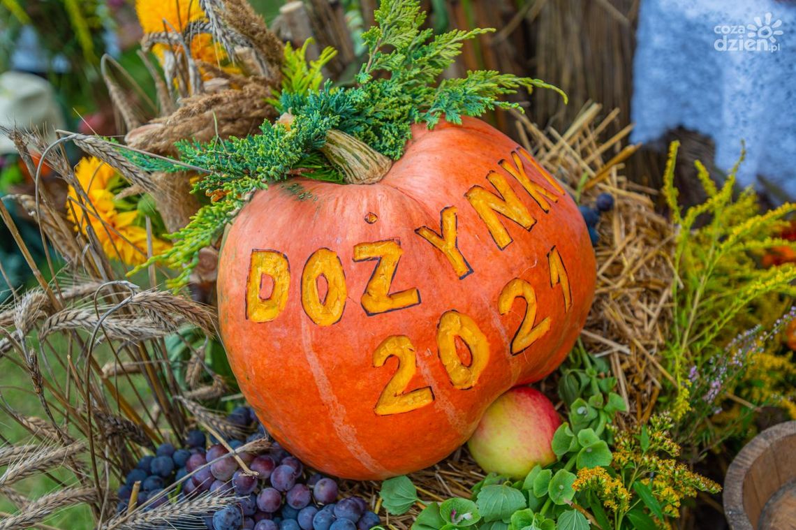 W niedzielę szydłowieckie dożynki. Wystąpią zespoły ludowe