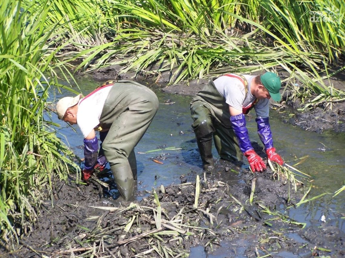 W Parku Gołębiów czyszczą wodne oczka