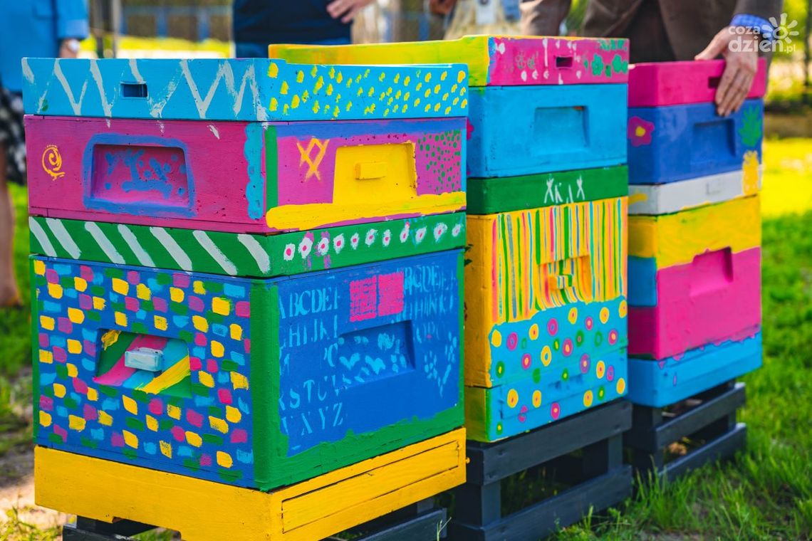 W Radomiu powstała pasieka operatora telekomunikacyjnego