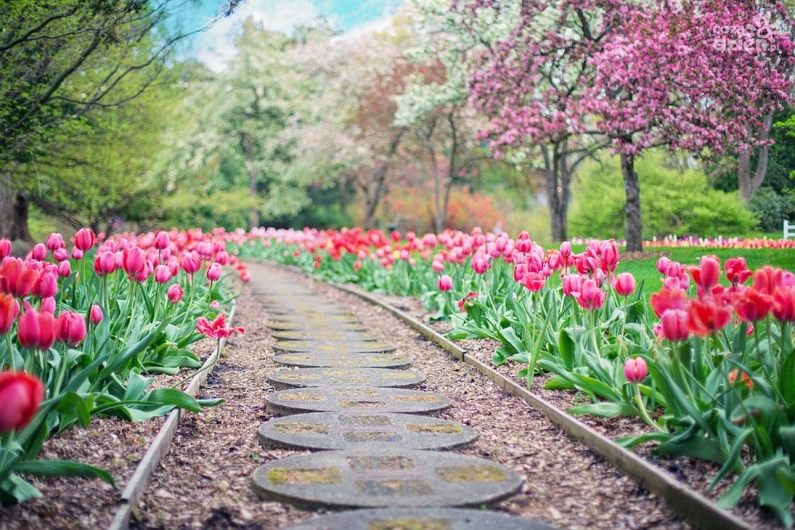 W Radomiu powstanie ogród sensoryczny