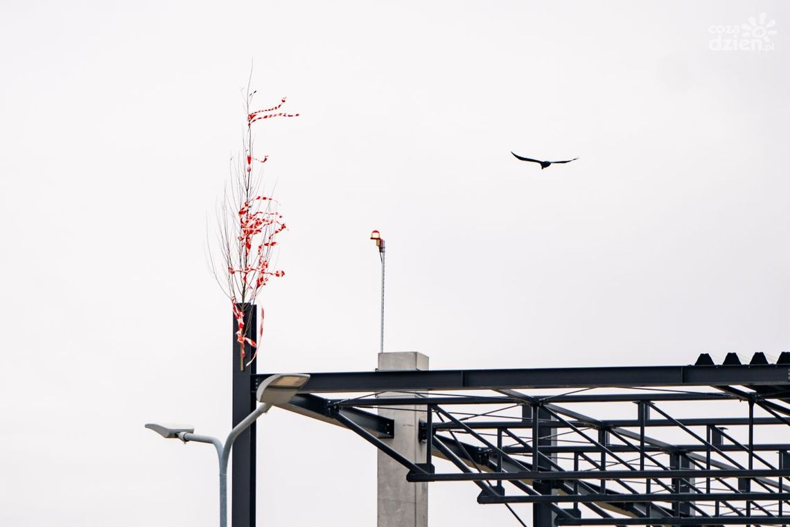 W Radomiu przeszkolą pilotów cywilnych