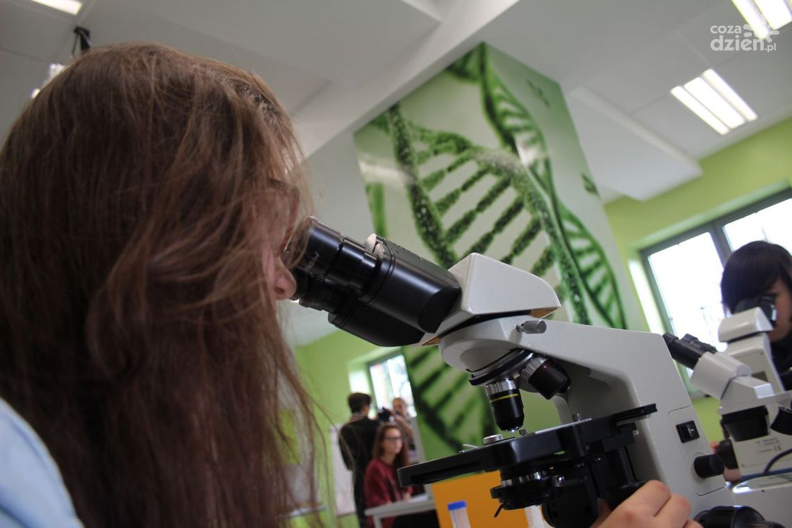 W Radomiu ruszy produkcja testów na koronawirusa W Radomiu ruszy produkcja testów na koronawirusa