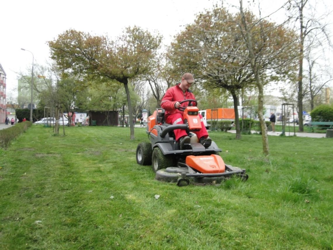 W Radomiu zaczyna się wielkie koszenie W Radomiu zaczyna się wielkie koszenie