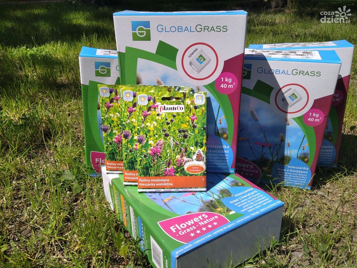 W Skaryszewie chcą tworzyć łąki kwietne