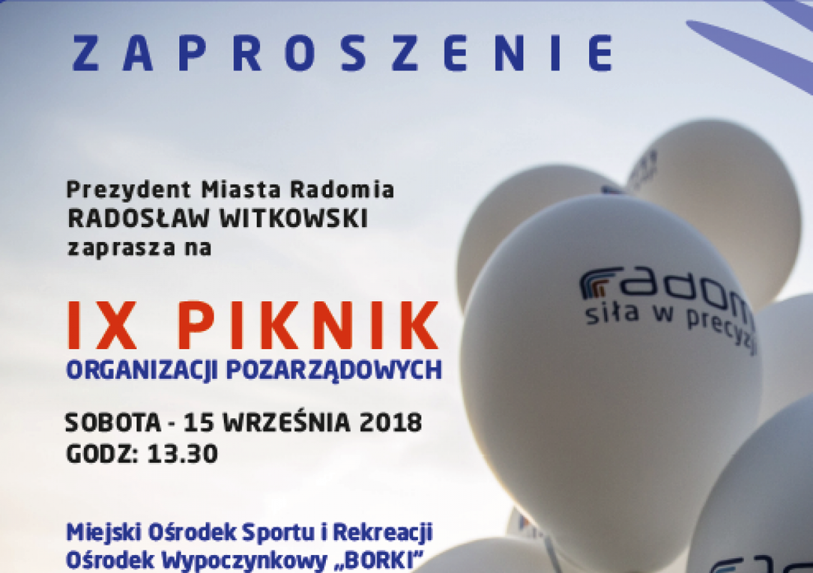 W sobotę Piknik Organizacji Pozarządowych