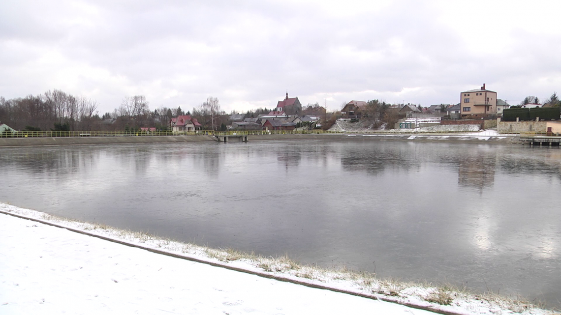 W sobotę Zlot Morsów w Jastrzębiu