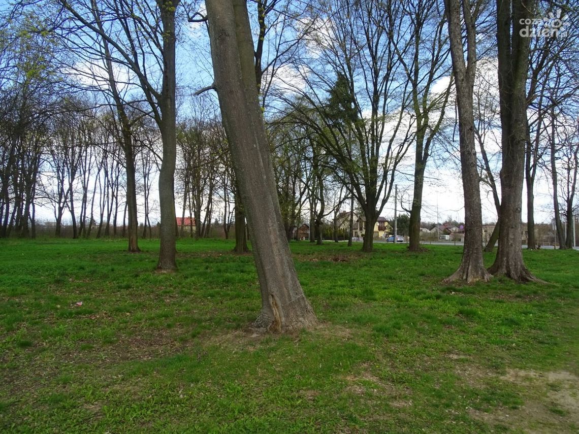 W Zwoleniu powstanie specjalna altana do odpoczynku