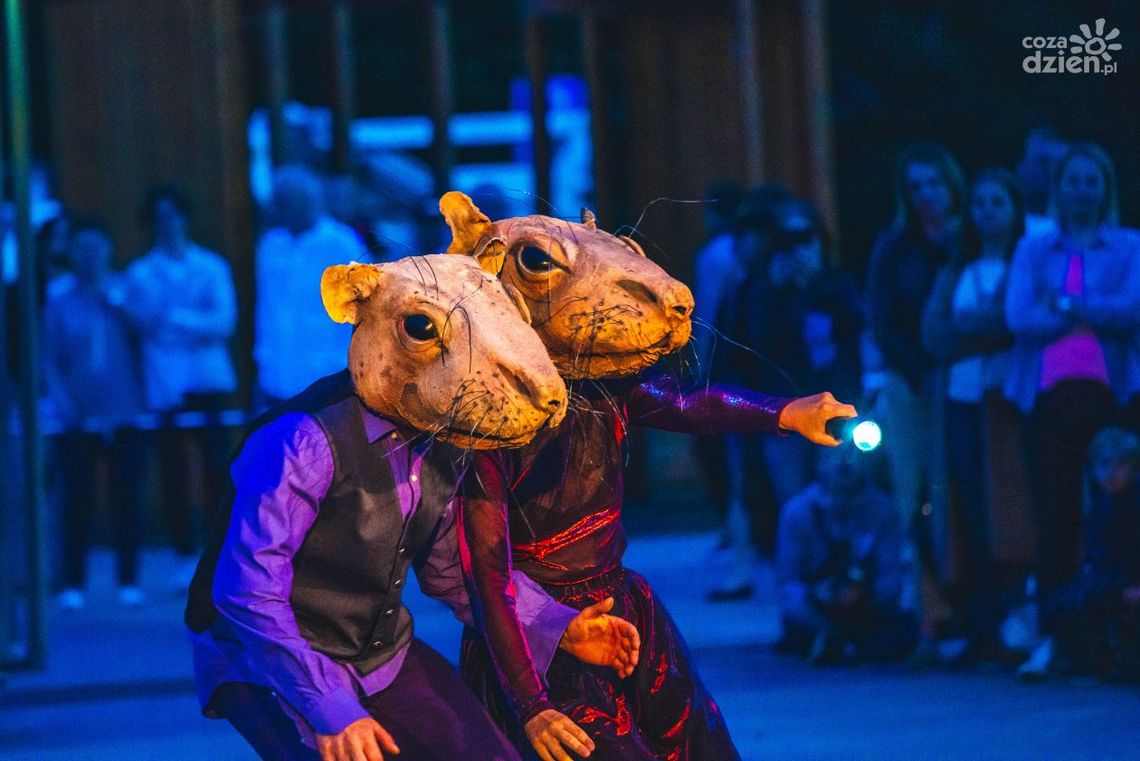 Wakacje z kulturą. Co nas czeka? Wakacje z kulturą. Co nas czeka?