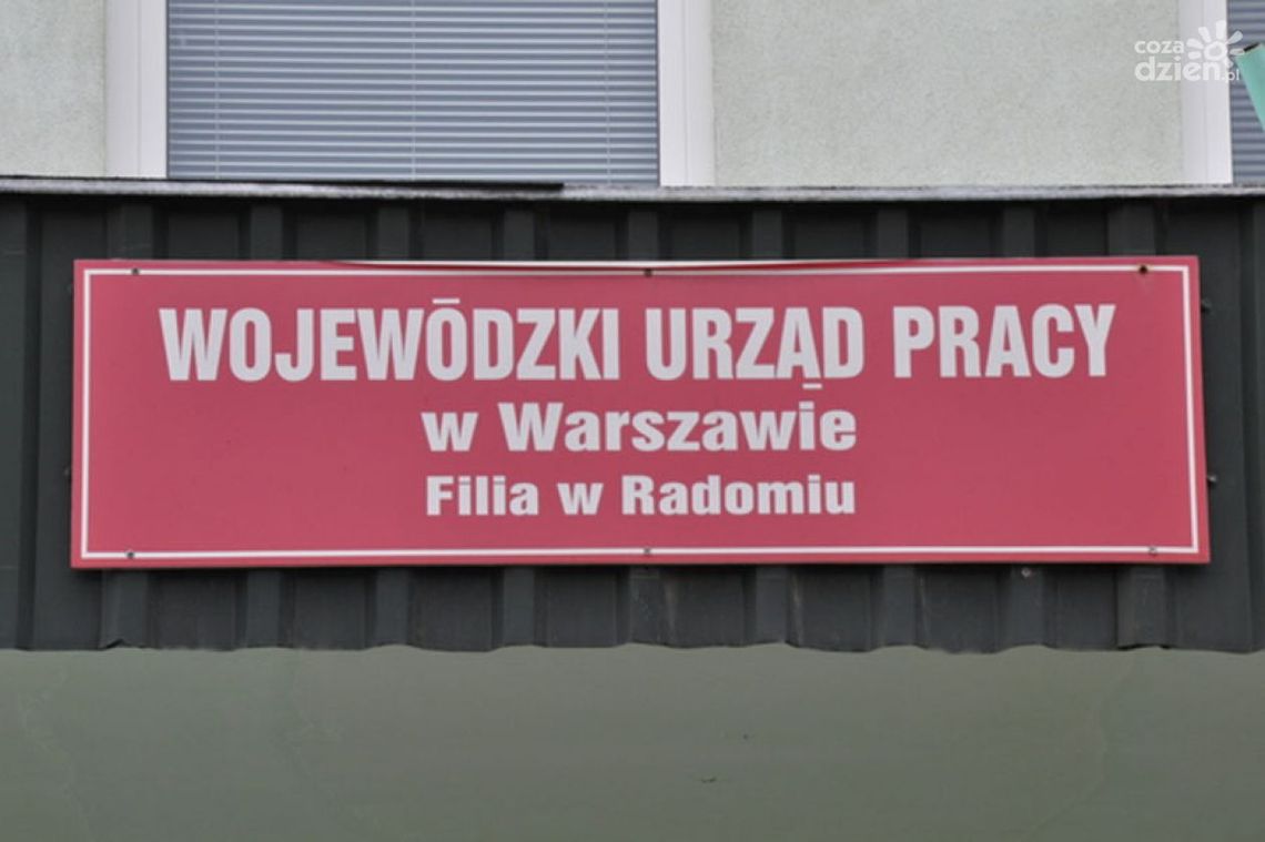 Wakacyjna praca dla studentów i uczniów Wakacyjna praca dla studentów i uczniów