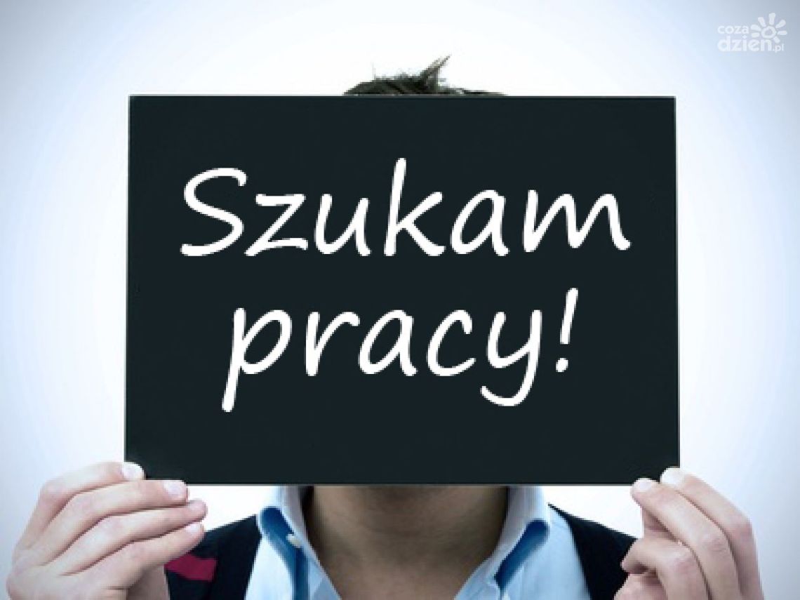 Wakacyjna praca w Niemczech - zgłoś się!