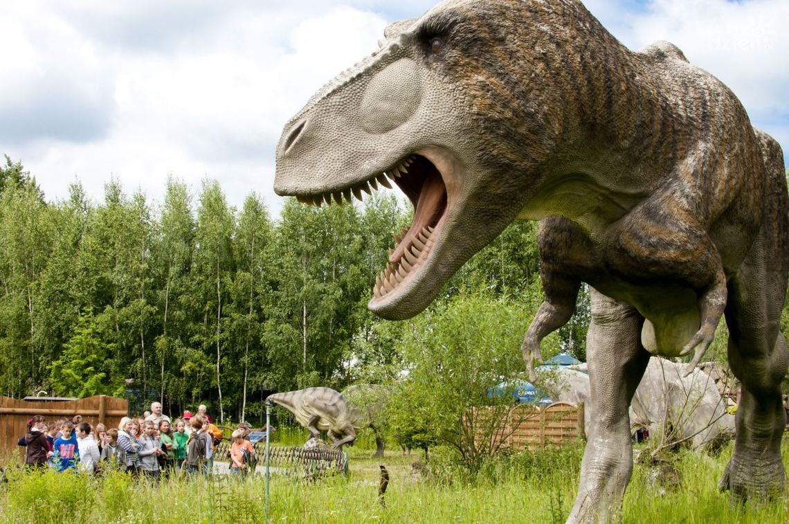 Wakacyjna promocja w Bałtowie!