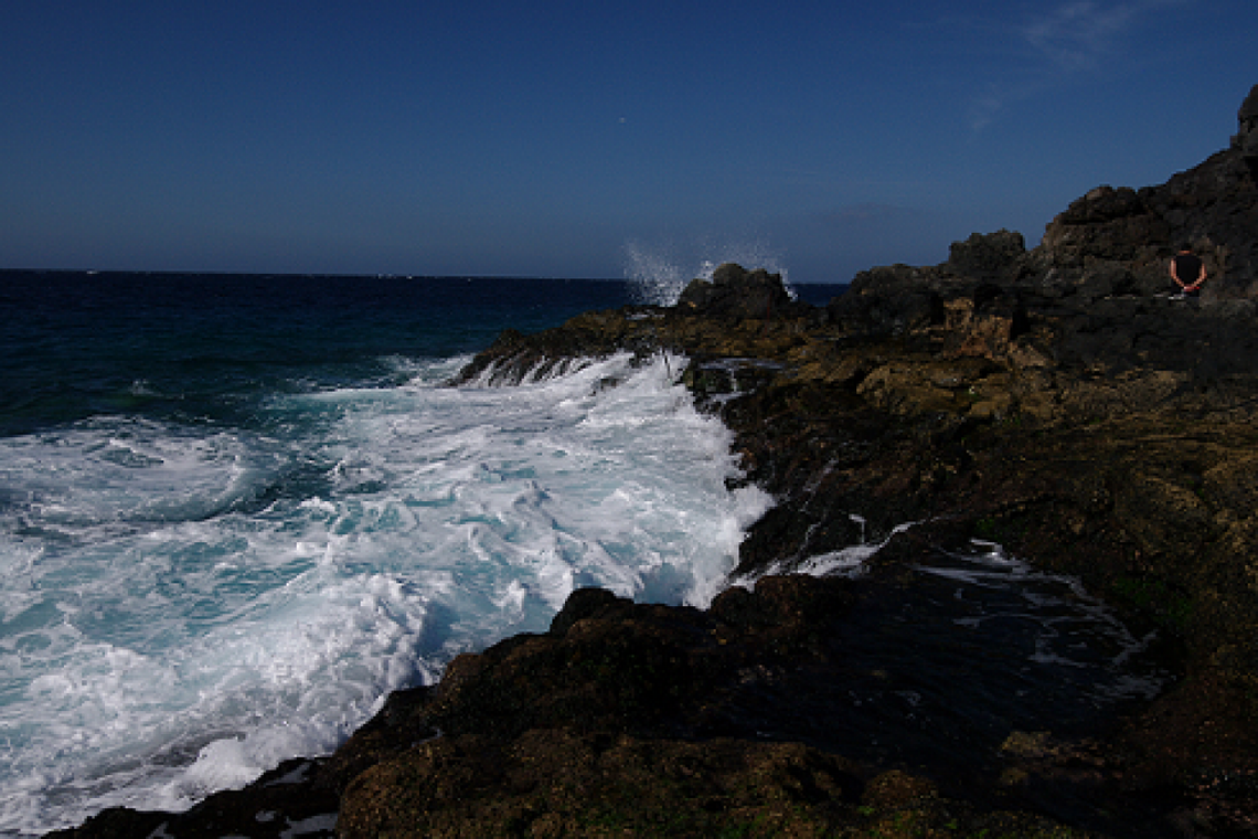 Wakacyjna wystawa Wojciecha Śmietanki