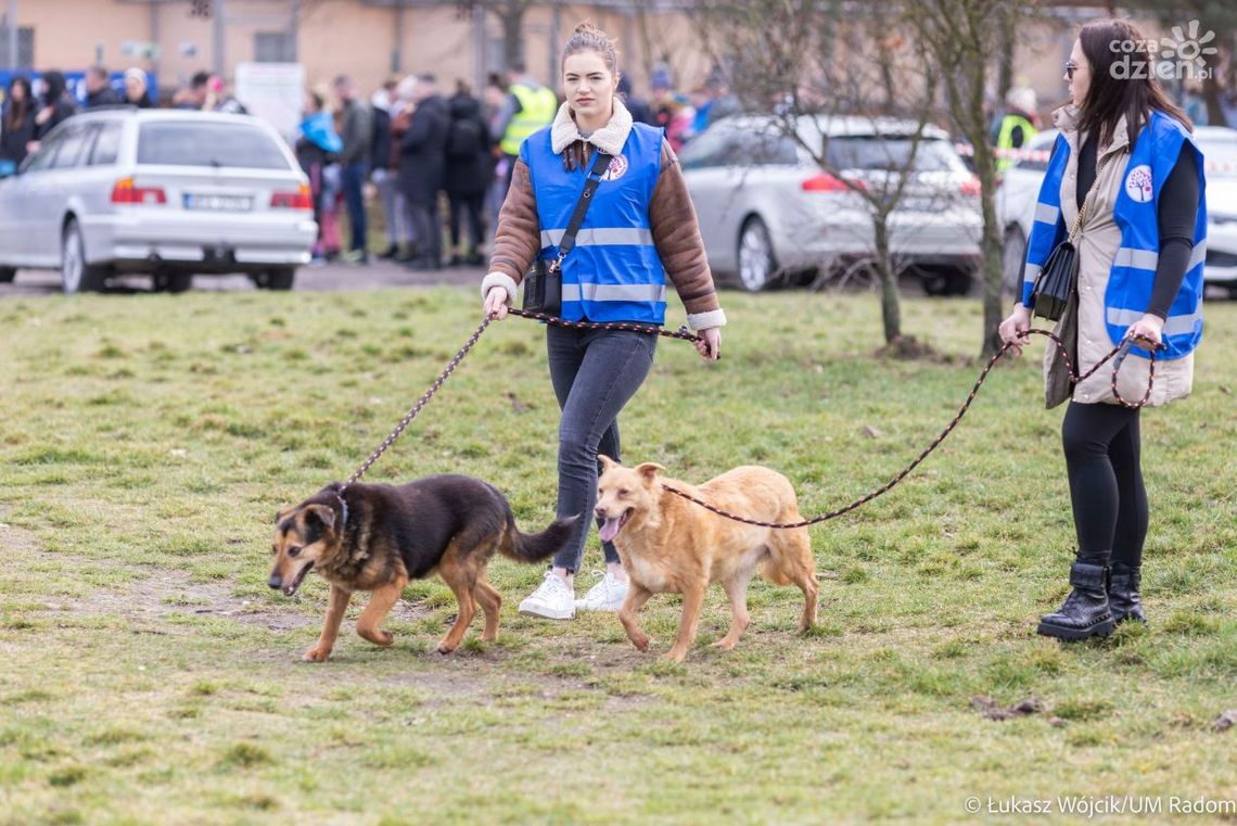 Walentynkowy spacer z czworonogami 