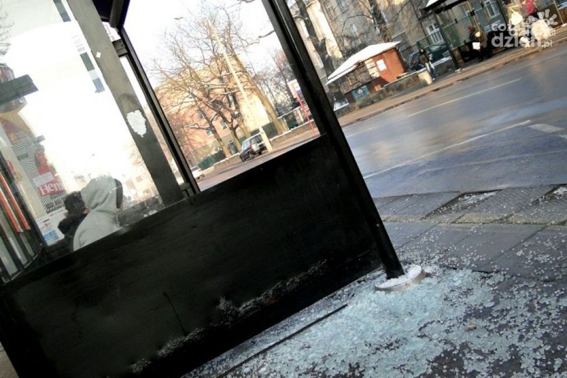 Wandale nie próżnują. Kto płaci za zniszczone wiaty?