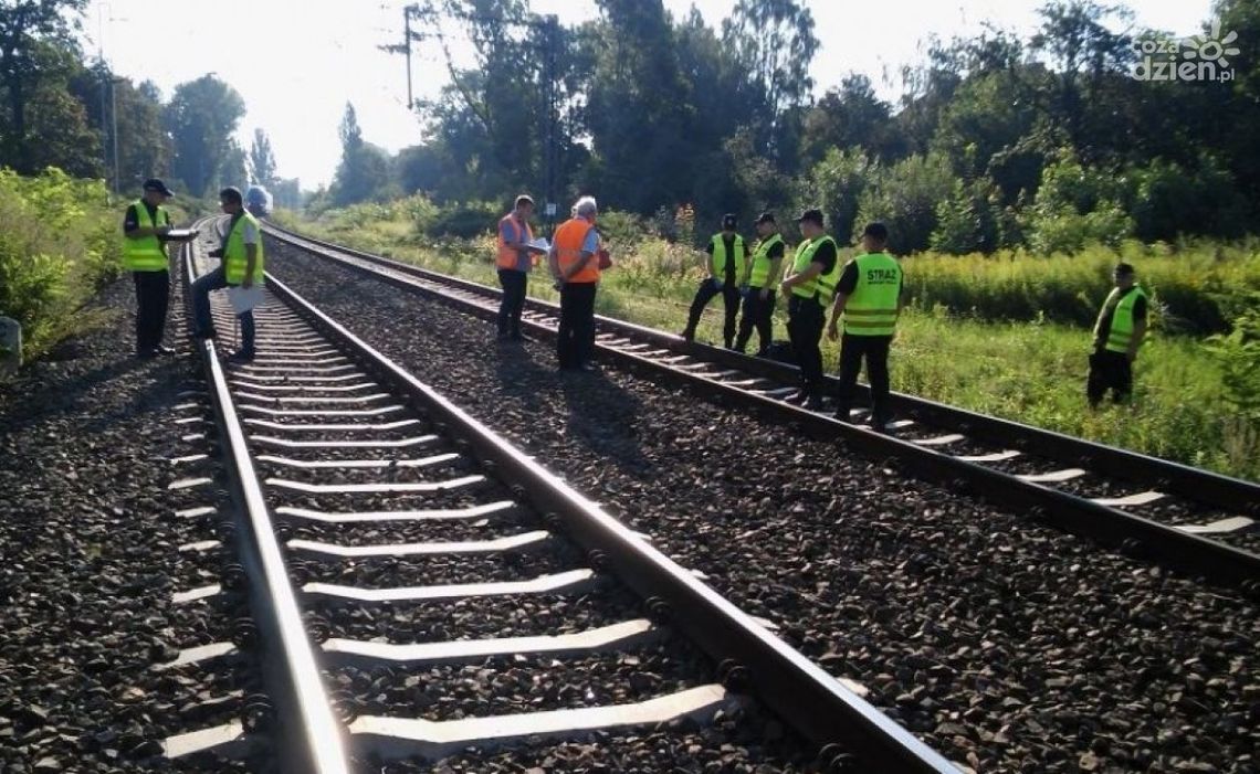 Warka – będzie nowy przystanek i dwa wiadukty Warka – będzie nowy przystanek i dwa wiadukty