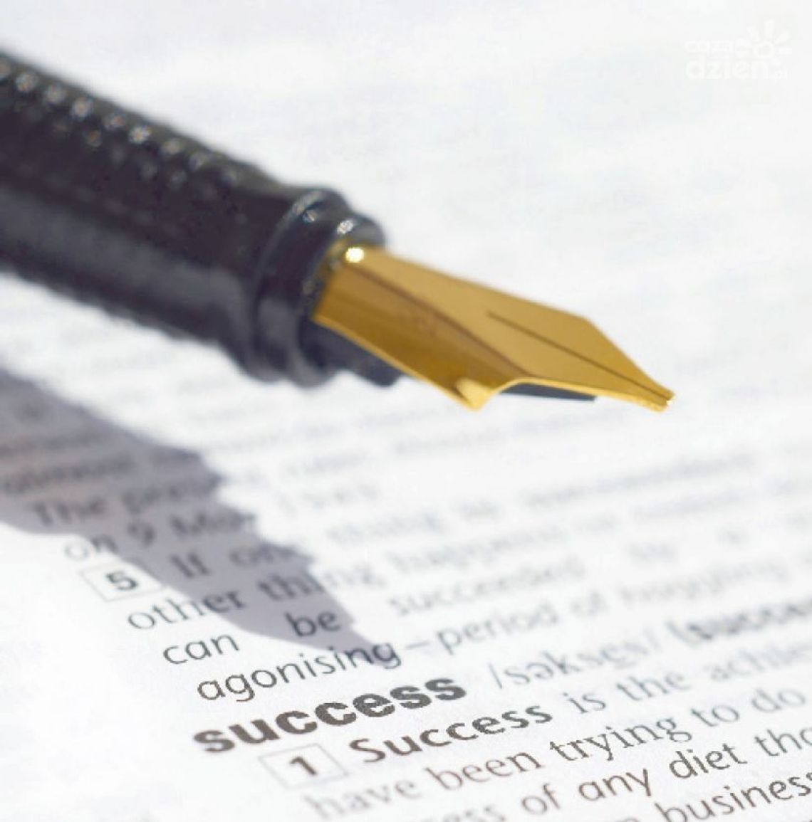 Warsztaty dziennikarskie dla młodzieży! Warsztaty dziennikarskie dla młodzieży!