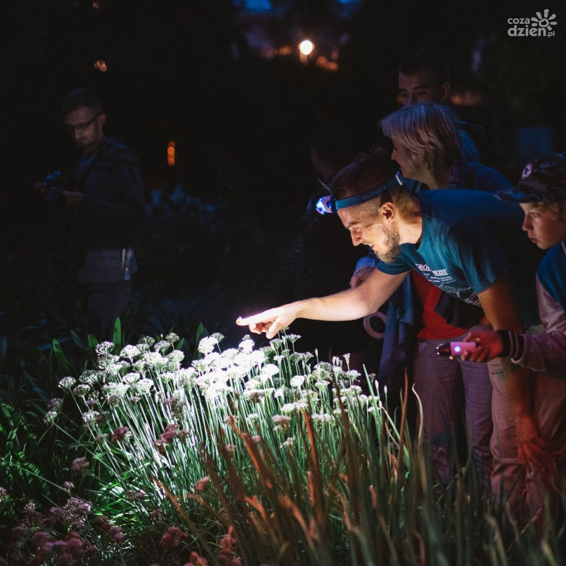 Warsztaty kompostowania z MOK Amfiteatr Warsztaty kompostowania z MOK Amfiteatr