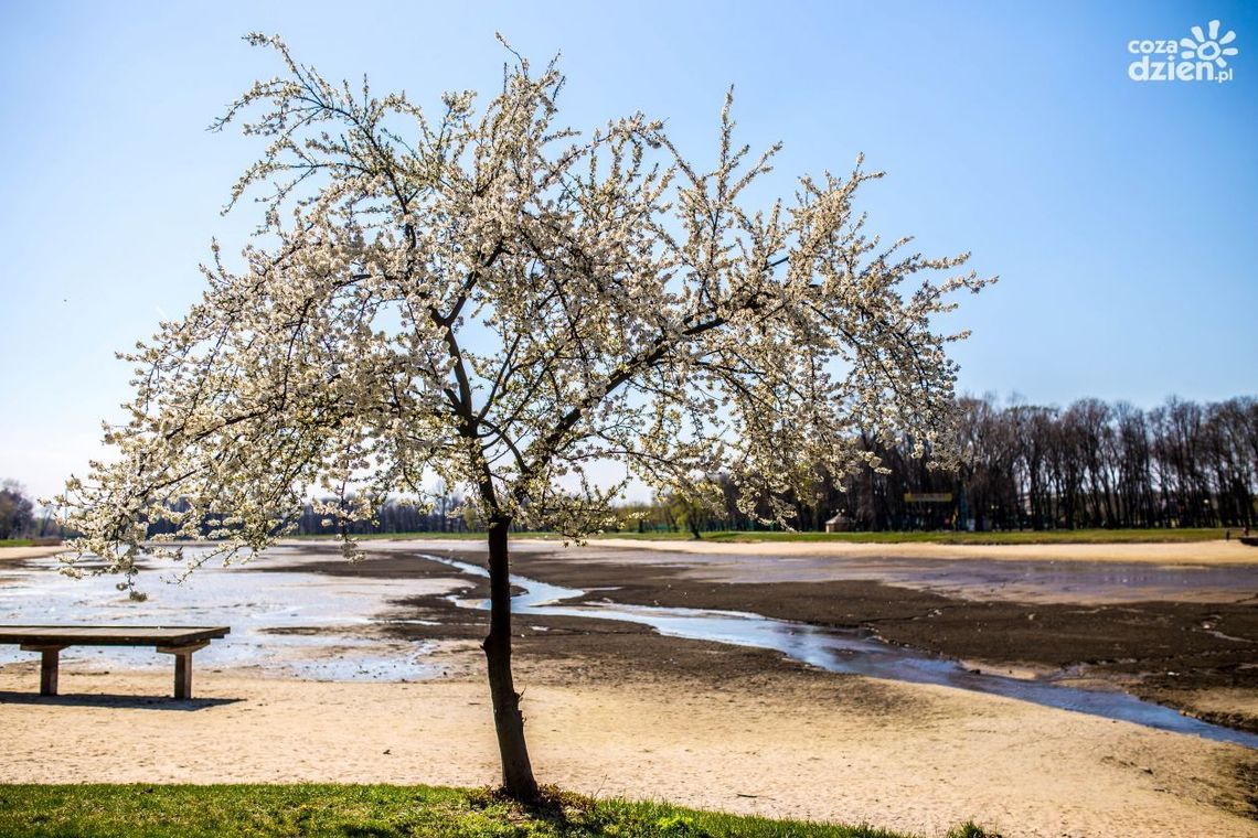 Wasze stawy, nasza zapora