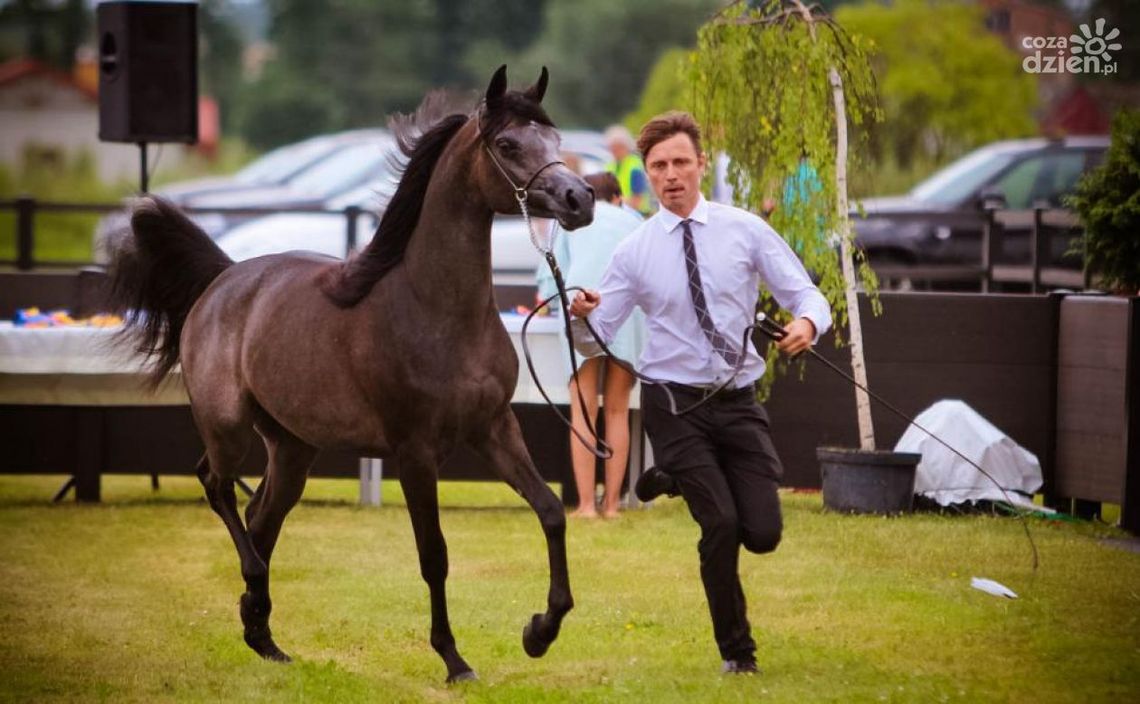 Weekend w obiektywie!