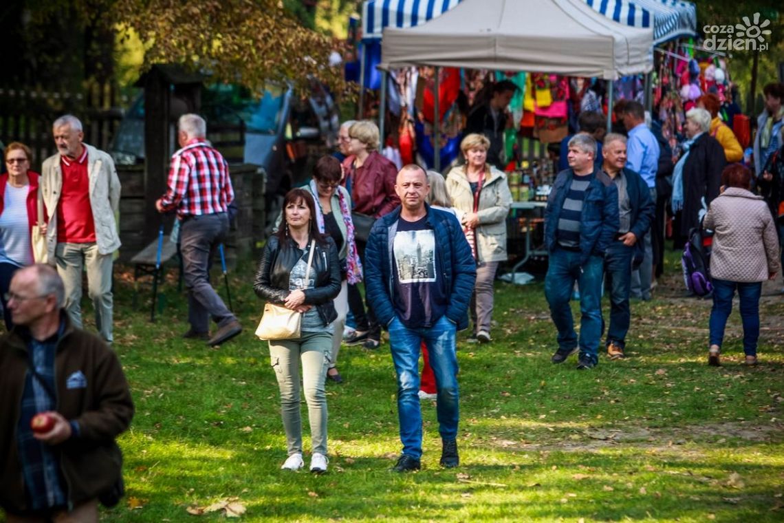 Weekendowe wydarzenia w Radomiu i regionie