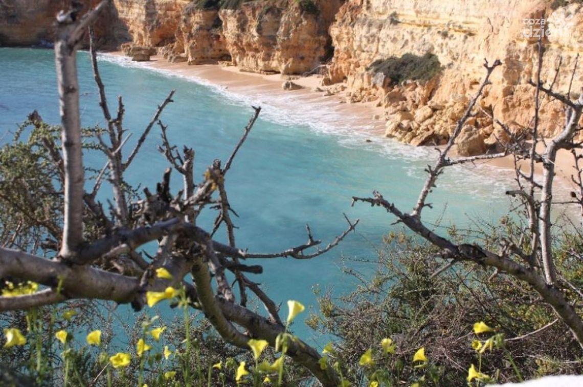 Wernisaż fotograficzny "Zima w Algarve"