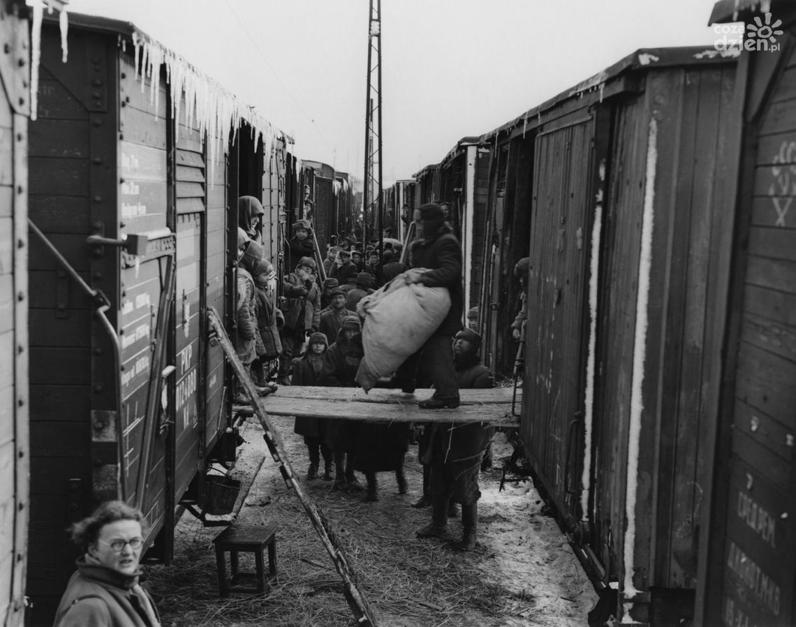 Wernisaż wystawy fotografii w American Corner