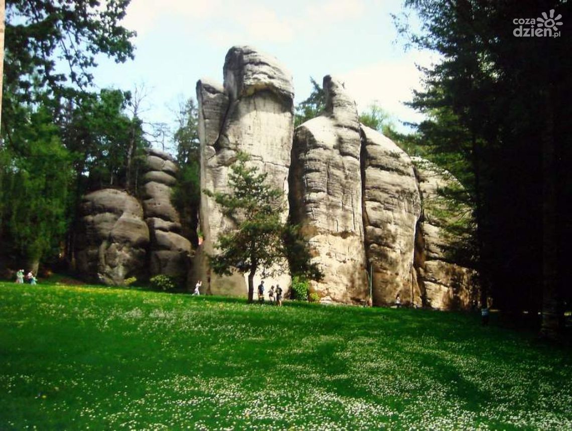 Wernisaż wystawy prac Szczepana Pomarańskieg Wernisaż wystawy prac Szczepana Pomarańskieg