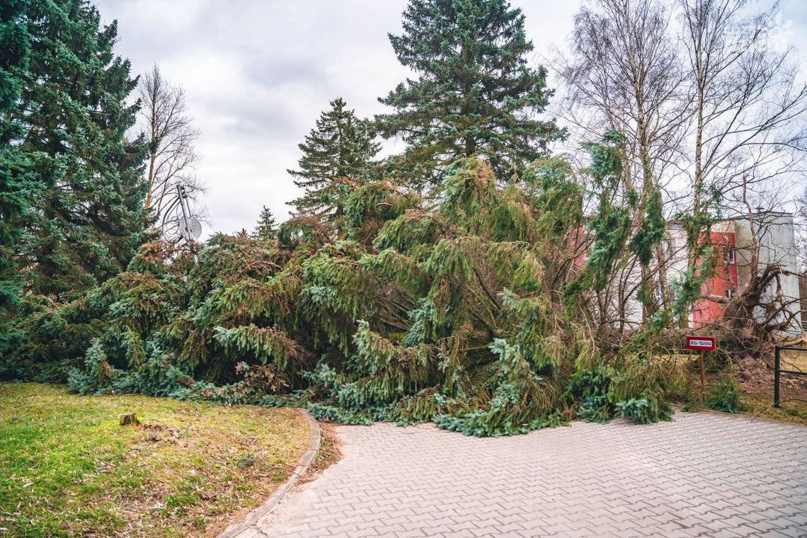 Wiatr do 90 km/h, grad i deszcz! RCB wysyła alerty