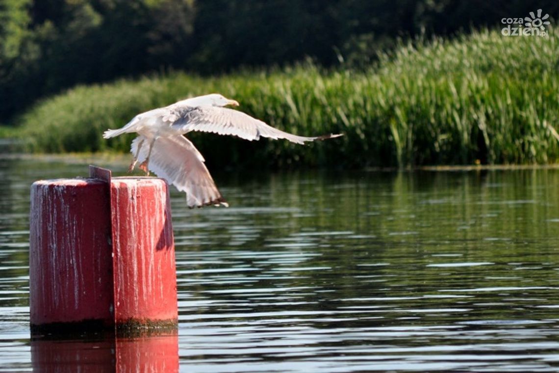 "Wiatr, woda i piosenka" - wystawa w Heliosie