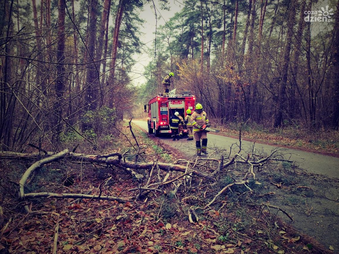 Wichury w regionie radomskim. Połamane drzewa, uszkodzone auta i linie