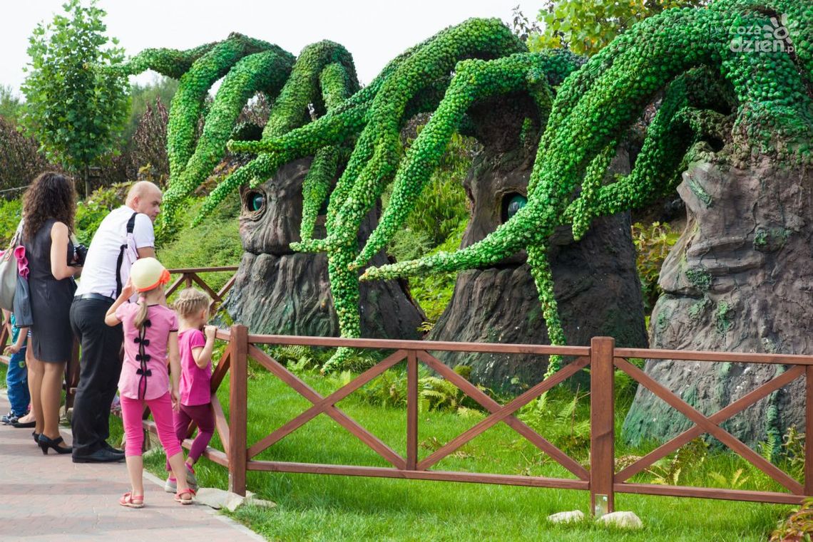 Wielka Pobudka Magicznych Ogrodów