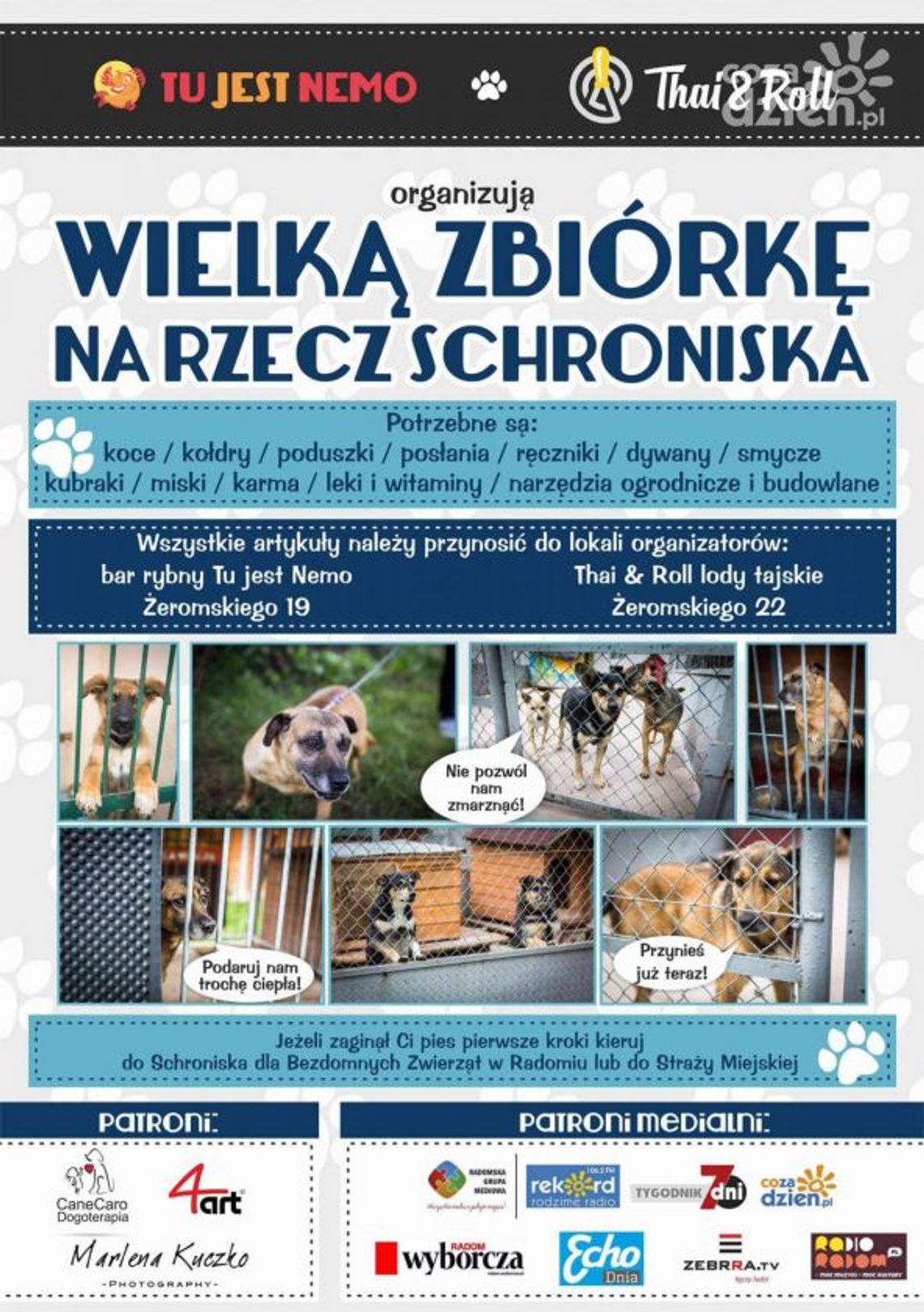 Wielka zbiórka na rzecz schroniska
