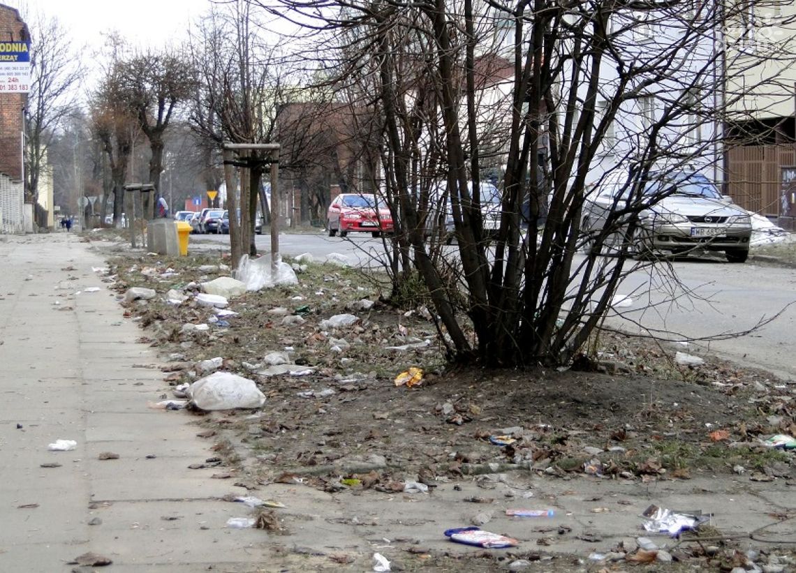 Wielki bałagan po zimie. Miejskie służby zapowiadają porządki