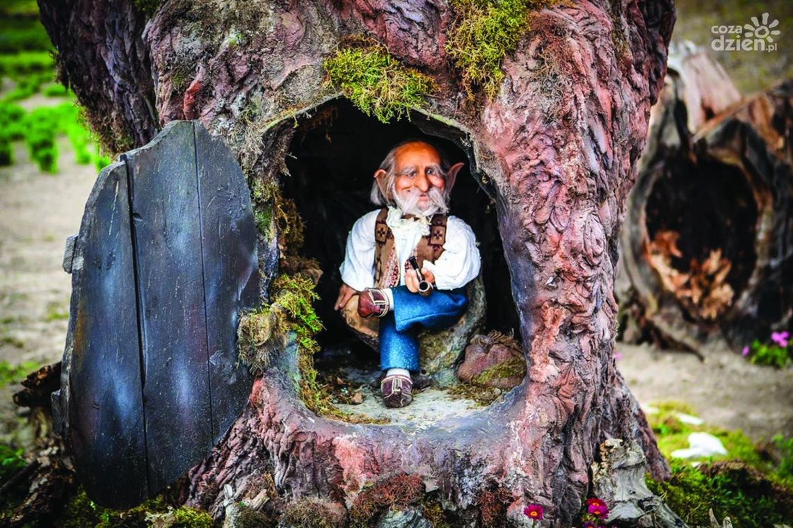 Wielkie Manewry – Wiwat Krasnoludy! Wielkie Manewry – Wiwat Krasnoludy!