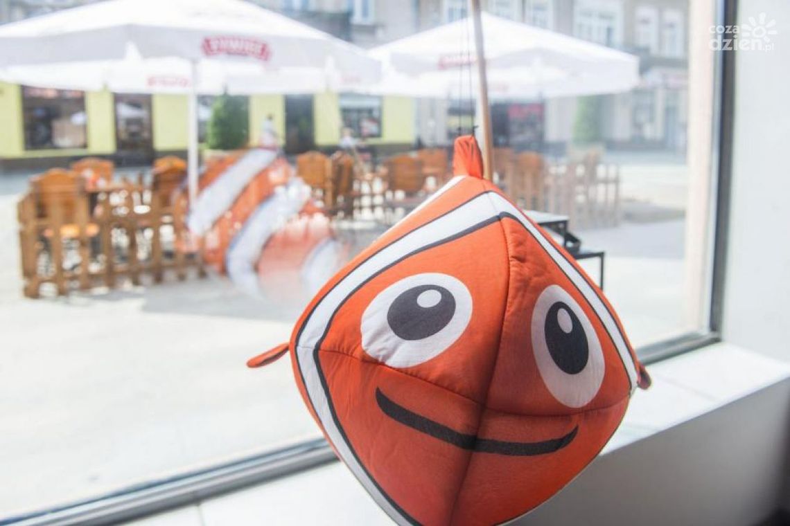 Wiemy, gdzie jest Nemo!