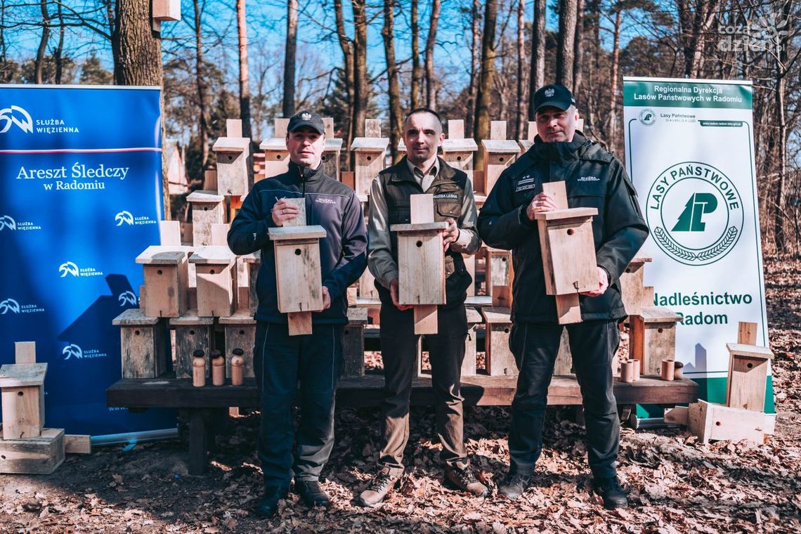 Więźniowie zbudowali budki lęgowe