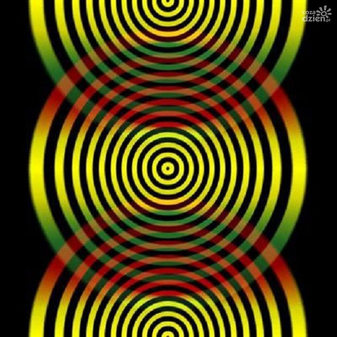 Wiosenny Rock Zone w Alibi - Radom