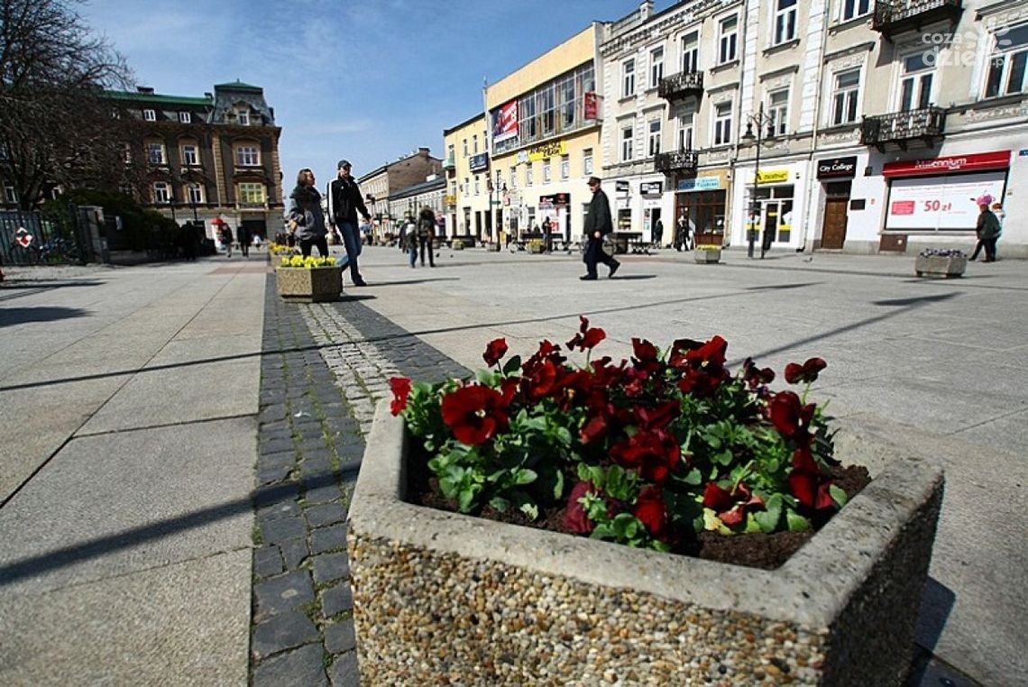 Wiosna idzie! ZUK ma pełne ręce roboty